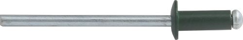 Заклепка вытяжная ISO 15977 3.2х8, Al/St, тип L RAL6005 (темно-зеленый) (упак/1.000шт)