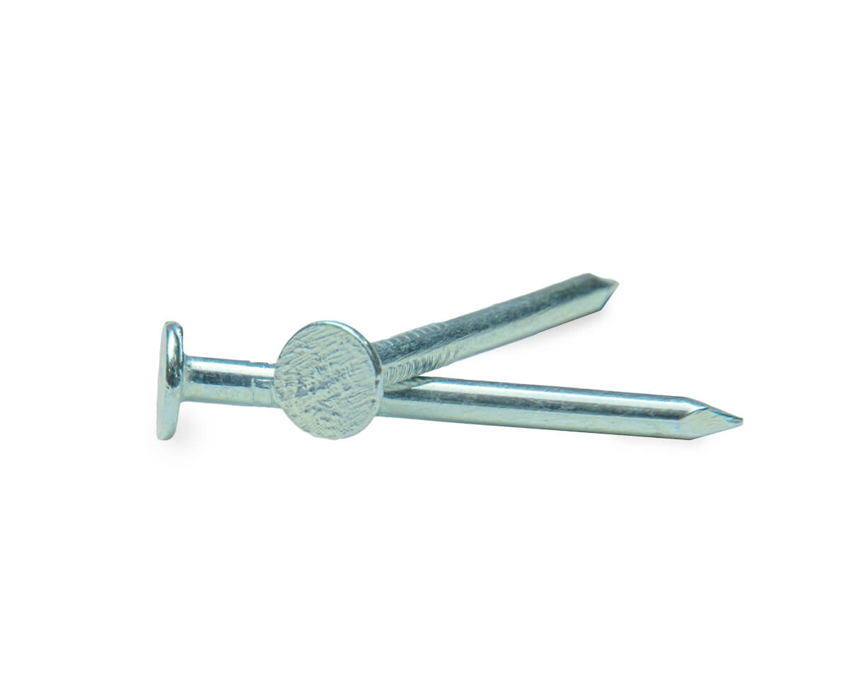 Гвоздь толевый 2,5х32, оцинкованный, в пласт. контейнере (упак/0,15кг)