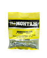 Винт 6х20 полуцилиндр. головка Ph, цинк, прочн. 4.8 DIN 7985 (пакет/10шт)