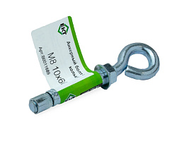 Анкерный болт с кольцом M 8 10х60 (с этик./1шт)