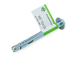 Анкерный болт M 8 10х100 (с этик./1шт)