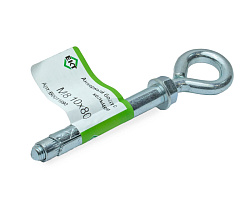 Анкерный болт с кольцом M 8 10х80 (с этик./1шт)