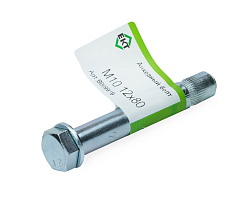 Анкерный болт M10 12x80, ЕКТ (с этик./1шт)